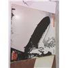 Image 2 : Led Zepplin LP Records