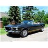 Image 7 : 1969 FORD MUSTANG GT CONVERTIBLE 4 SPEED