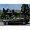 Image 8 : 1969 FORD MUSTANG GT CONVERTIBLE 4 SPEED