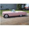 Image 2 : 1957 FORD THUNDERBIRD ROADSTER