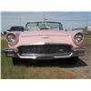 Image 7 : 1957 FORD THUNDERBIRD ROADSTER