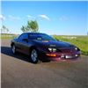 Image 3 : 1995 CHEVROLET CAMARO Z28 2-DOOR COUPE