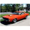 Image 2 : 4:00 PM SATURDAY FEATURE! 1970 PLYMOUTH CUDA 340 6 PACK SHAKER ROTISSERIE RESTORATION