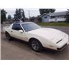 Image 2 : 1987 PONTIAC FIREBIRD HATCHBACK