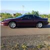 Image 7 : 1995 CHEVROLET CAMARO Z28 2-DOOR COUPE