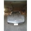 Image 1 : 1978 CHEVROLET CORVETTE SILVER ANNIVERSARY