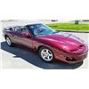 Image 1 : 2002 PONTIAC FIREBIRD CONVERTIBLE