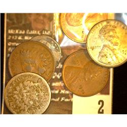 2.       1859 Copper-nickel Poor, 1901 VG Indian Cents; 1943D EF, 52D EF, 88D BU Lincoln Cents; & 18