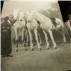 Image 3 : 35.    (4) Large Prints dating back to 1890 era, one in color.