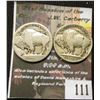 Image 2 : 111.1913 Type-2 F, and 1913 D type-1 No Readable Date, Buffalo Nickels.