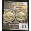 Image 2 : 113.1915 P, G and 1917 P, F Buffalo Nickels.