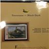 Image 2 : 542.1996 Tennessee-Black Duck $17.00 Duck Stamp, Pristine, mint condition in original folio as issue