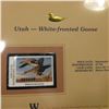Image 2 : 544.1996 Utah-White-fronted Goose $5.00 Duck Stamp, Pristine, mint condition in original folio as is