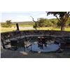 Image 3 : South Africa - 5 Day Southern Greater Kudu Mountain Hunt - Chumlet Safaris