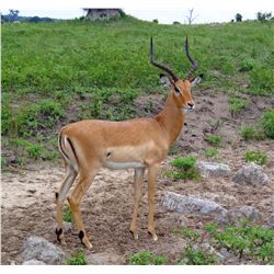 Namibia – 8 day trip with 4 Trophies including Etosha National Park
