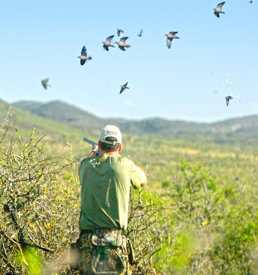 Argentina Unlimited Dove Hunt for 3 Hunters OC Outfitters