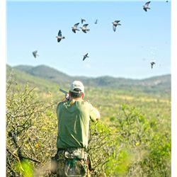 Argentina - Unlimited Dove Hunt for 3 Hunters – OC Outfitters