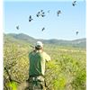 Image 1 : Argentina - Unlimited Dove Hunt for 3 Hunters – OC Outfitters