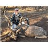 Image 3 : Limpopo – 6 Days,  1 Hunter & 4 Trophies, BowHunting Option – Trompettersfontein Safaris