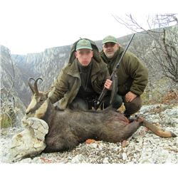 Serbia – Fallow Deer, Roe D\eer or Chamois – Your choice - with Two Touring Days