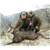 Image 1 : Serbia – Fallow Deer, Roe D\eer or Chamois – Your choice - with Two Touring Days