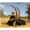 Image 1 : Mpumalanga – 6 Days,  2 Hunters & 3 Trophies Each – Ross Lange Safaris