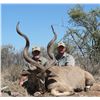Image 5 : Mpumalanga – 6 Days,  2 Hunters & 3 Trophies Each – Ross Lange Safaris