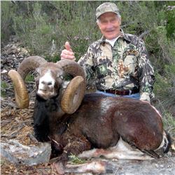 Spain – 5 Day Hunt with Fernando Saiz for One Hunter and One Observer