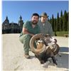 Image 3 : Spain – Five day hunt with Giuseppe Carrizosa + $2,000 credit