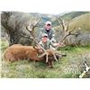 Image 1 : New Zealand 4 Day 5 Night Red Stag Hunt