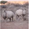 Image 3 : Namibia - Bergzicht Game Lodge – 7 Day Plains Game Hunt - Experience the African Sun