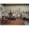 Image 9 : Namibia - Bergzicht Game Lodge – 7 Day Plains Game Hunt - Experience the African Sun