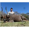 Image 2 : South Africa - 7 Day Nyala Hunt with Hotfire Safaris