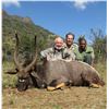 Image 3 : South Africa - 7 Day Nyala Hunt with Hotfire Safaris