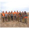 Image 4 : South Dakota - 2 Day and 2 Night Wild Pheasant Hunt for 2018 or 2019
