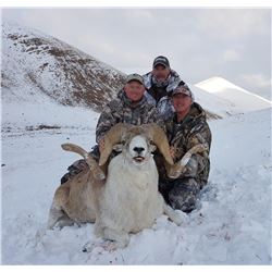 Kyrgyzstan Hume Argali Hunt