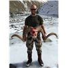 Image 4 : Kyrgyzstan Hume Argali Hunt