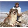 Image 5 : Kyrgyzstan Hume Argali Hunt