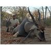 Image 2 : Zimbabwe - 10 Day Cape Buffalo Hunt with Dale Desfountain