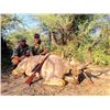 Image 3 : Zimbabwe - 10 Day Cape Buffalo Hunt with Dale Desfountain