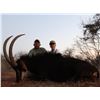 Image 2 : Limpopo - 6 Day Sable Hunt – Kemp Safaris
