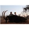 Image 6 : Limpopo - 6 Day Sable Hunt – Kemp Safaris