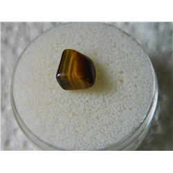 GEM STONE - TIGER'S EYE - POLISHED FREE FORM