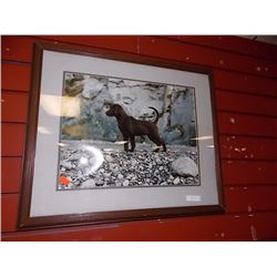 FRAMED PRINT - DOG