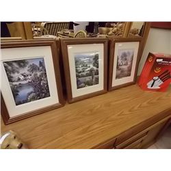 FRAMED PICTURES - 3 TTL - LANDSCAPES