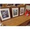 Image 1 : FRAMED PICTURES - 3 TTL - LANDSCAPES