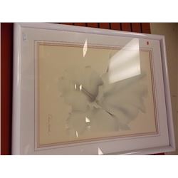 FRAMED PRINT - FLOWERS