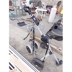 WILSON & ROLLER KIN GOLF CARTS - 2 TTL