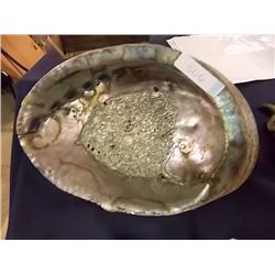 ABALONE SHELL