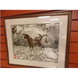 FRAMED PRINT - DOG